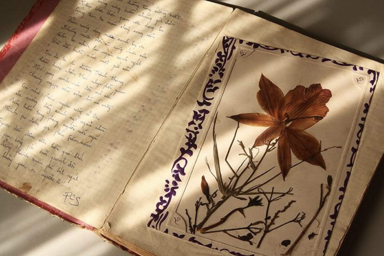 screen shot 2025 05 12 at 191307