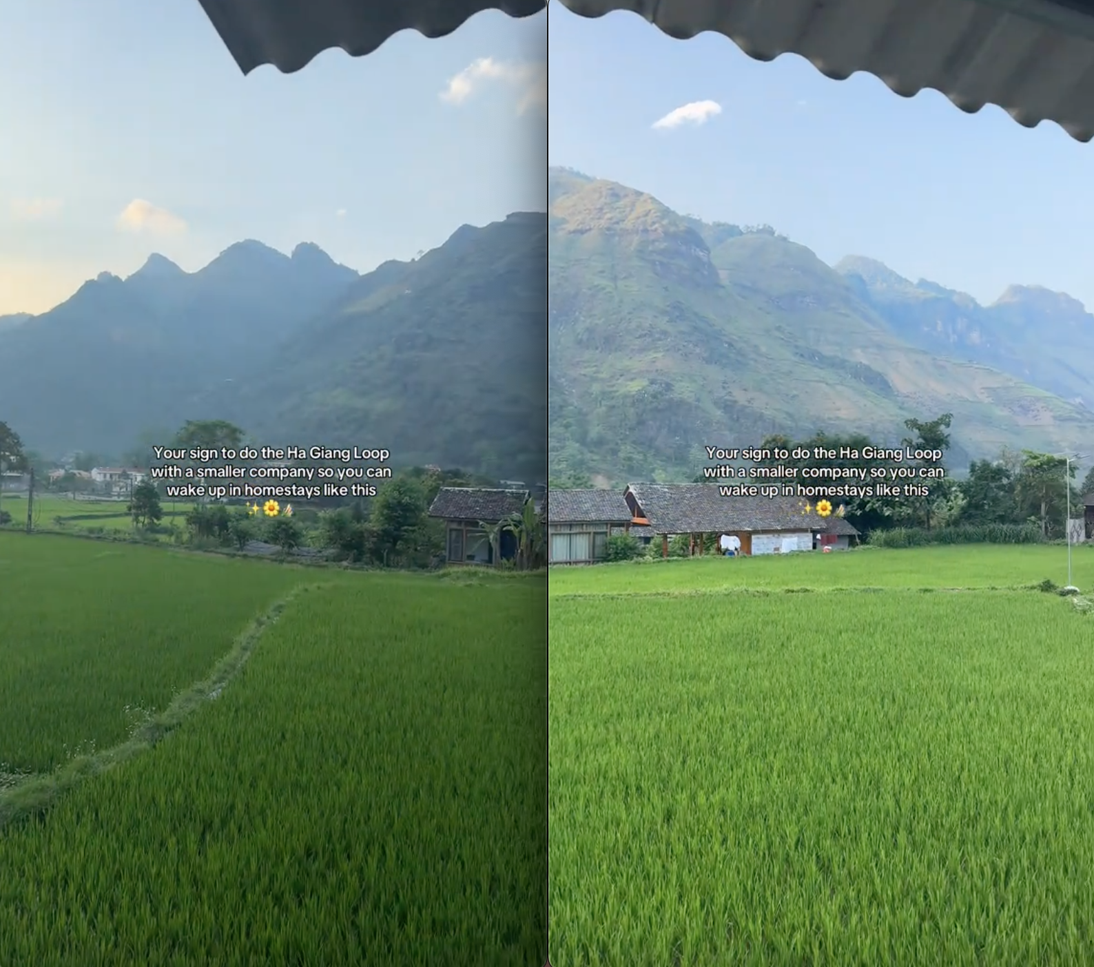 screen shot 2025 05 12 at 195405