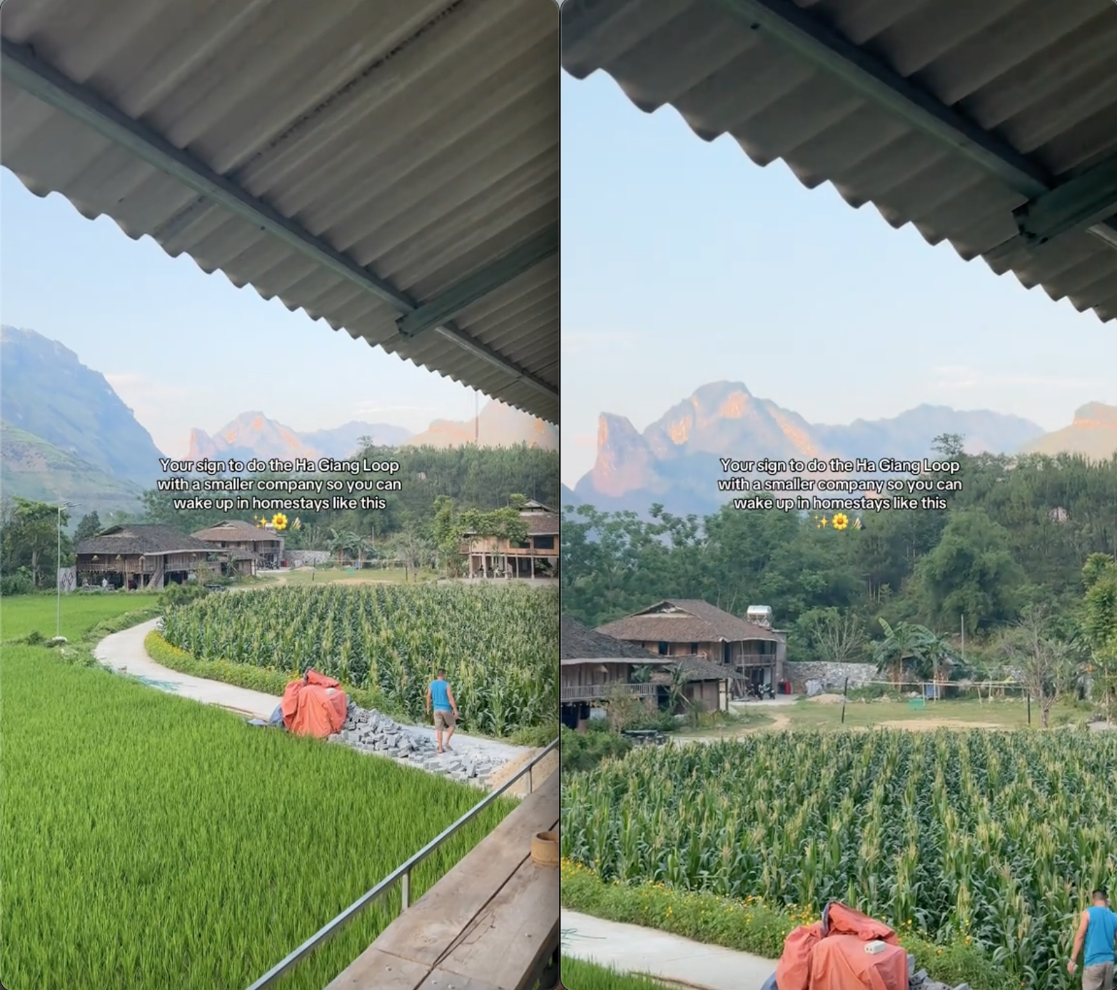 screen shot 2025 05 12 at 195416