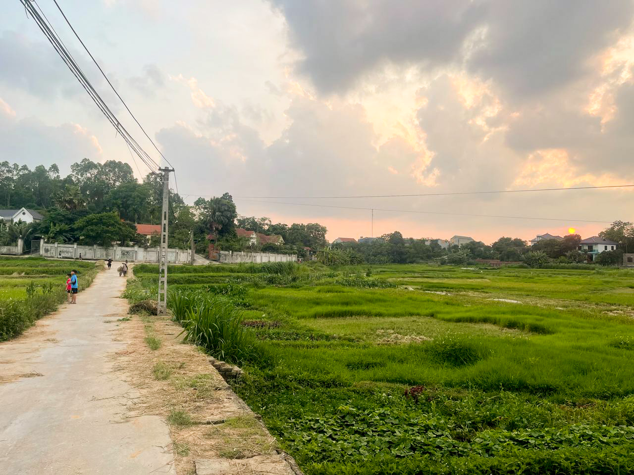 photo2025 05 2220 34 25