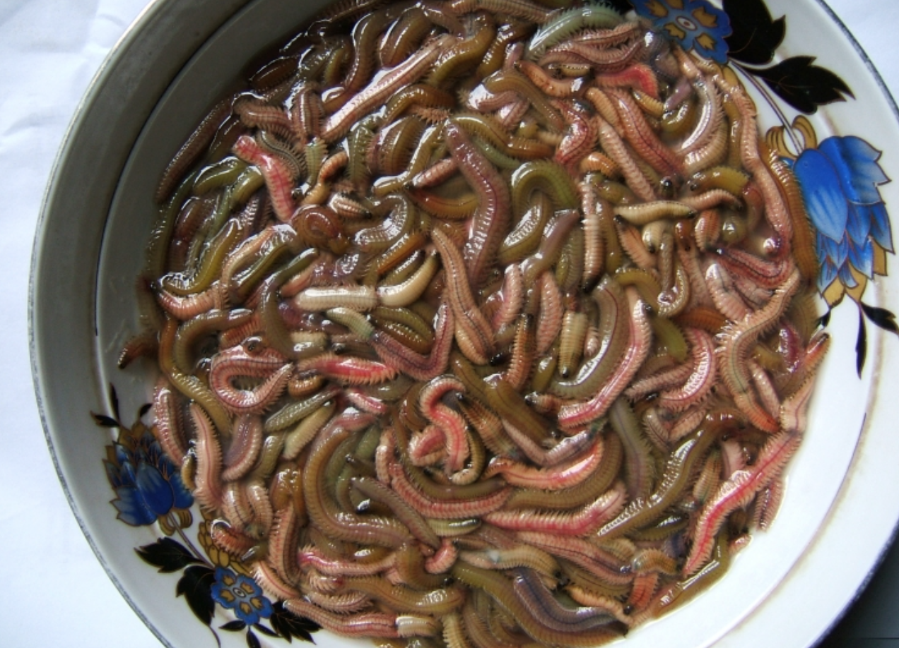 screen shot 2025 05 27 at 183921