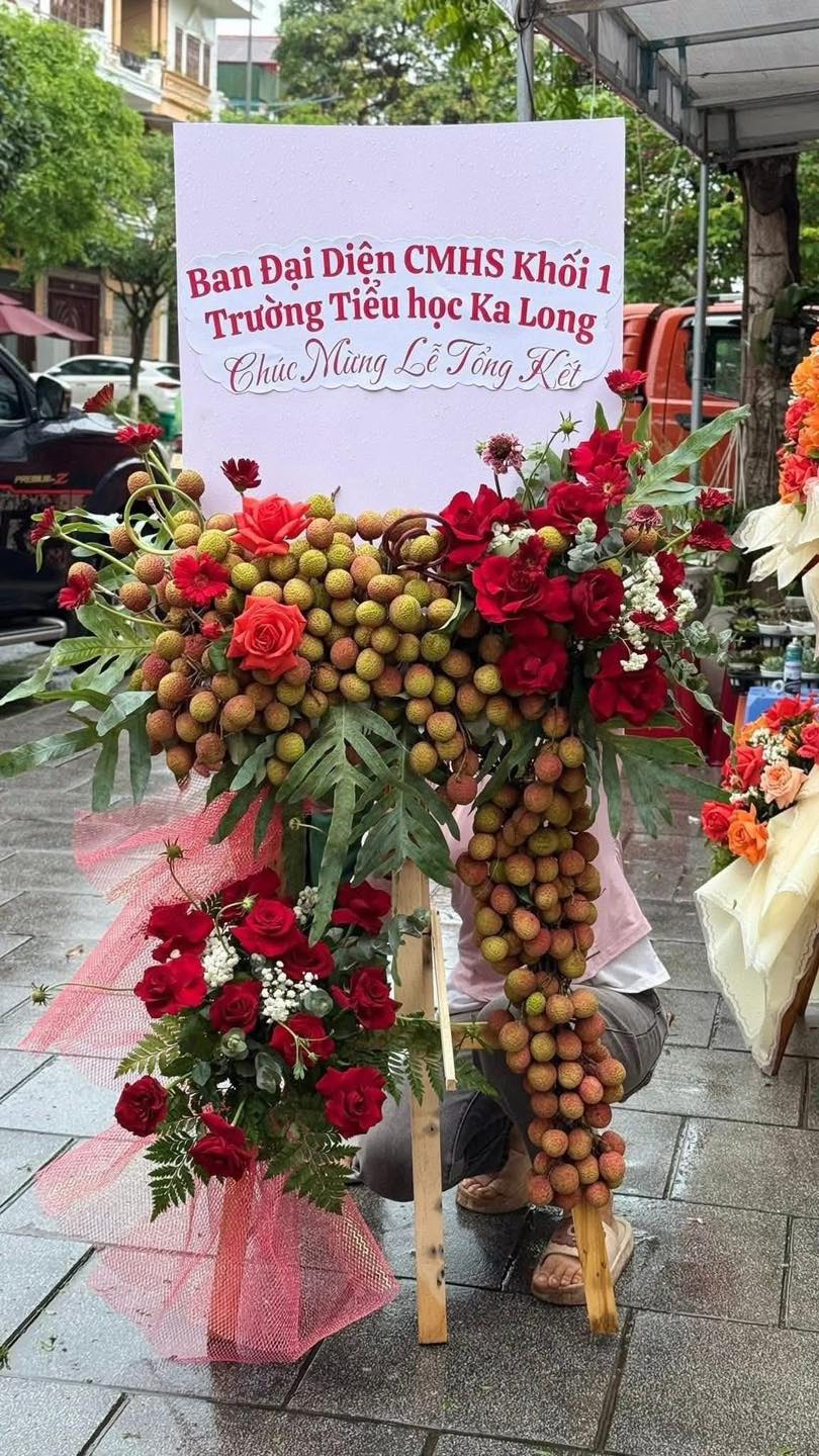 50107717811425687579041224984797410482555352n