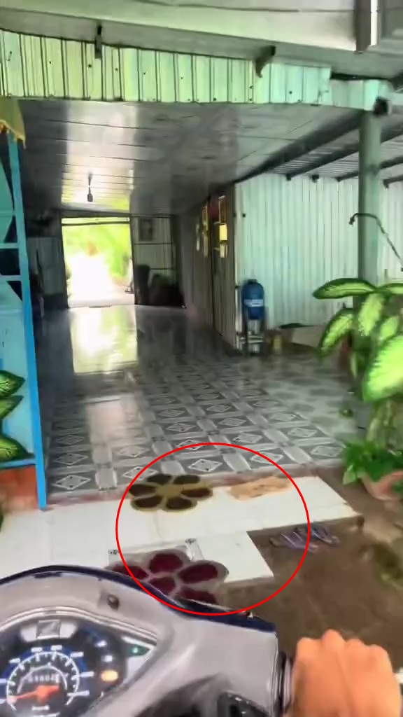 snapsaveapp gorzvpgqyoaot5pfrwpcpoi84i6k4o1cqc48p8 frame at 0m8s