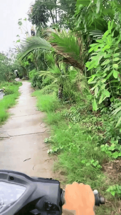 snapsaveapp gorzvpgqyoaot5pfrwpcpoi84i6k4o1cqc48p8 ezgifcom resize