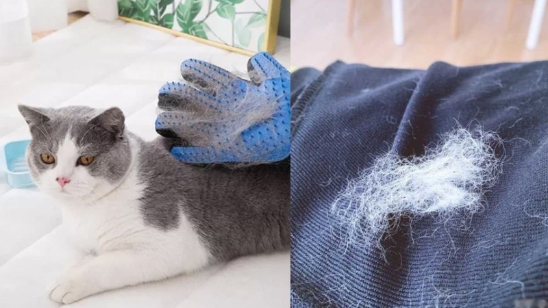 quanaobidinhlongkhigiatmay254c405a9b6