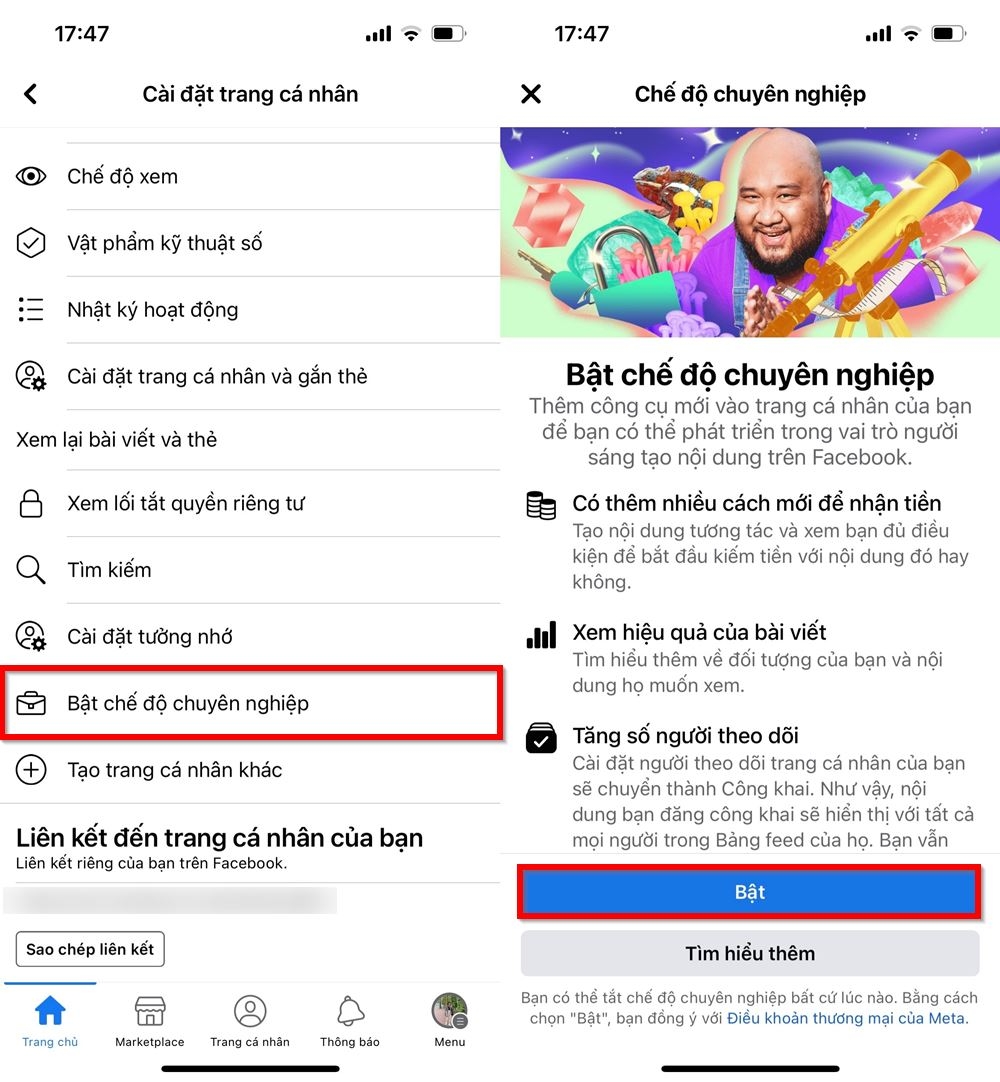 bat che do chuyen nghiep fb 2