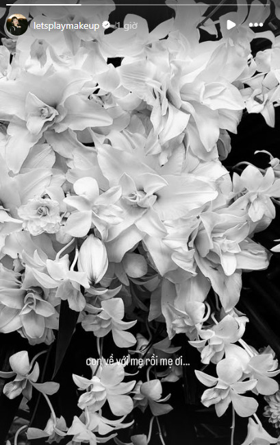 screenshot 3739 173494484113472316902 1734949167372 17349491675061871608055