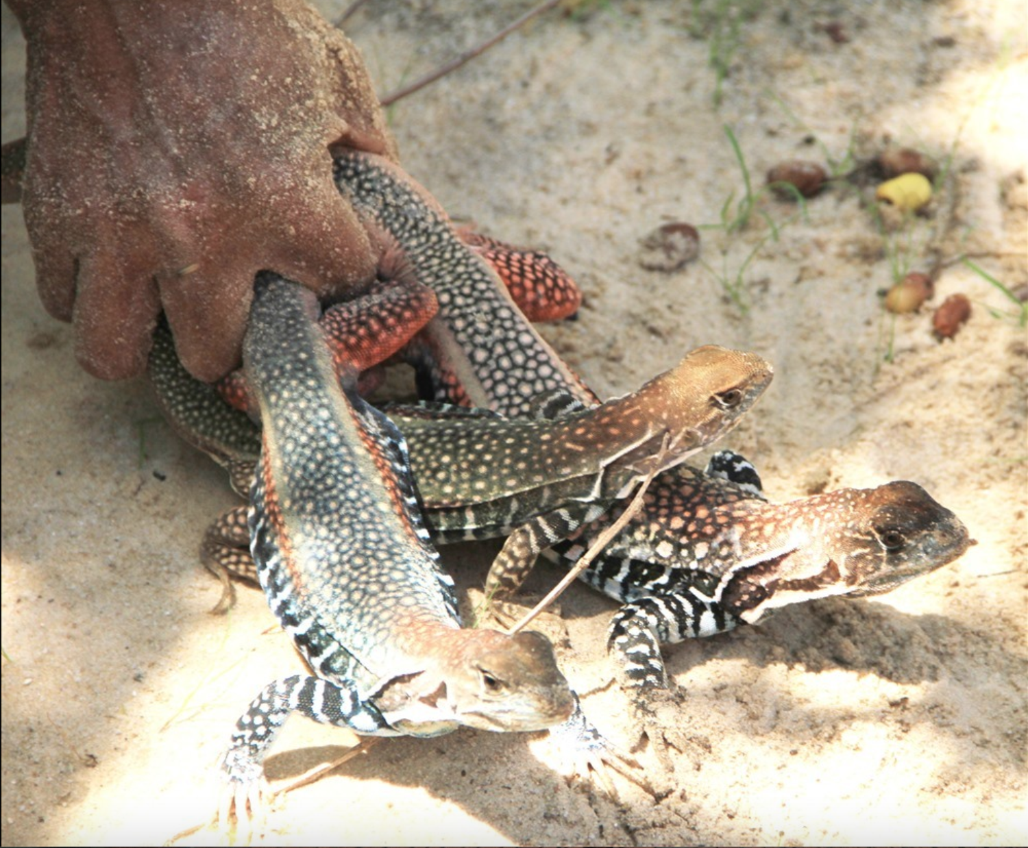 screen shot 2025 07 11 at 184417