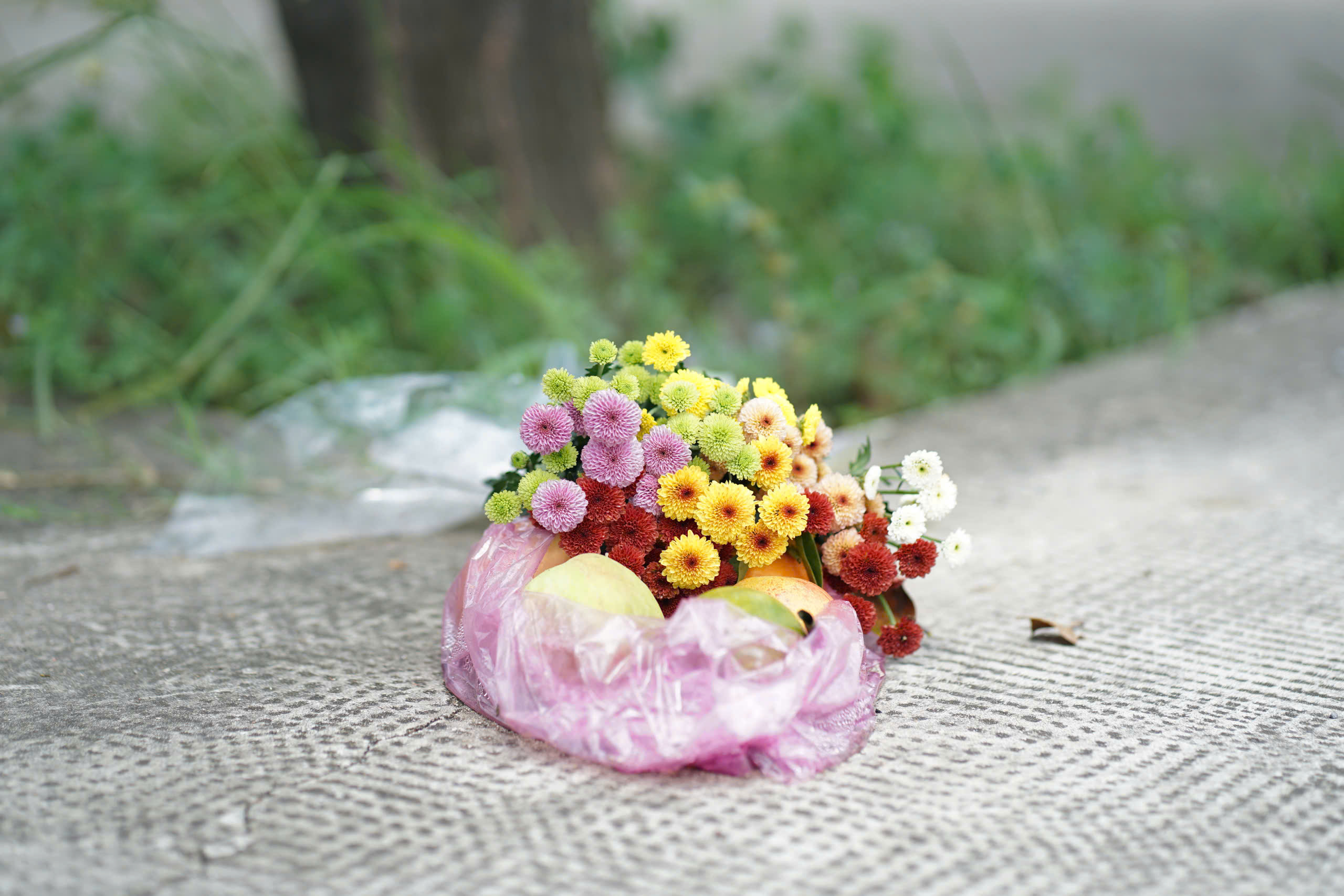 d119eee75769e137b878