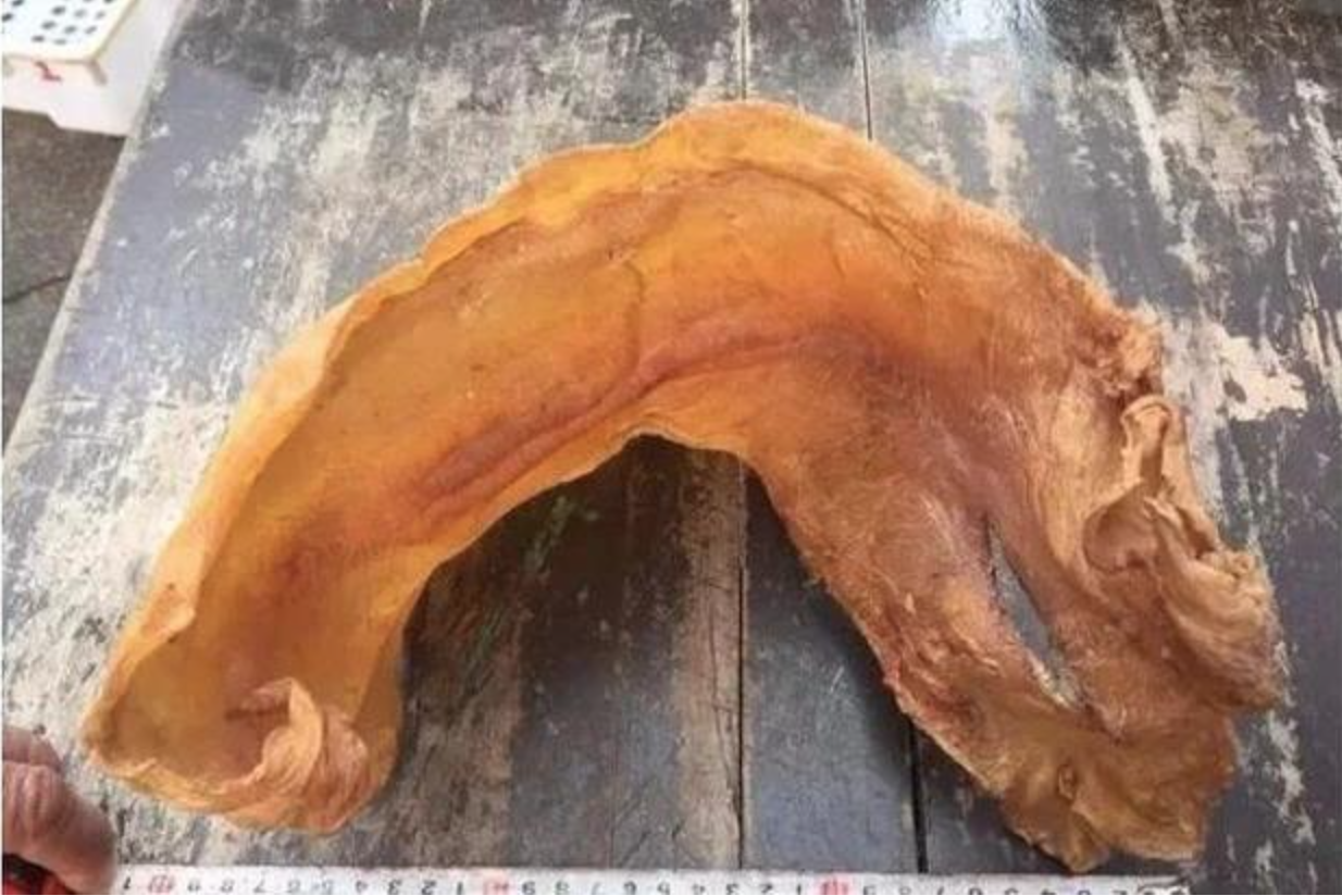 screen shot 2025 08 02 at 174948