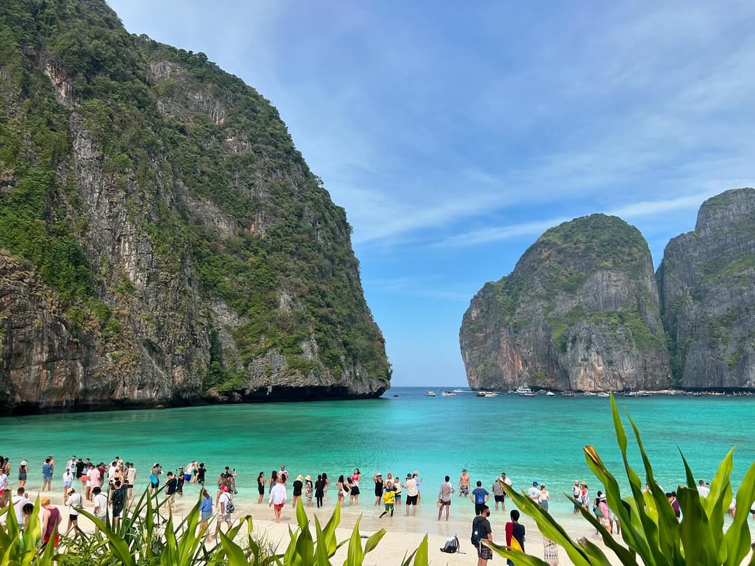 indownloaderapppicture0185145001754226413