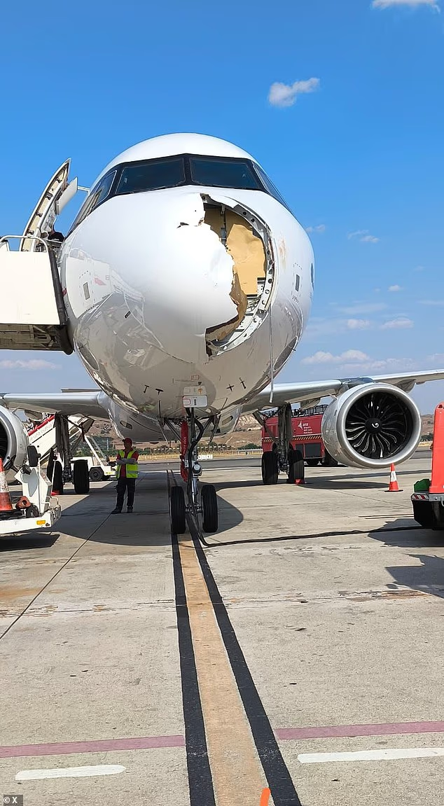 100889845 14967155 image a 571754250112115