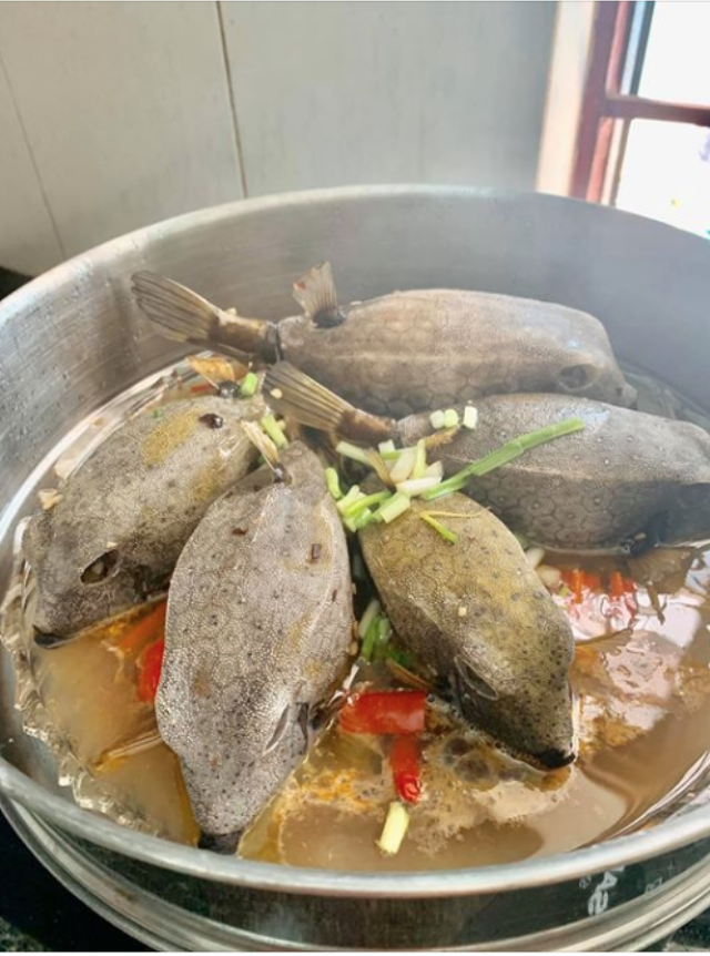 screen shot 2025 08 04 at 194243