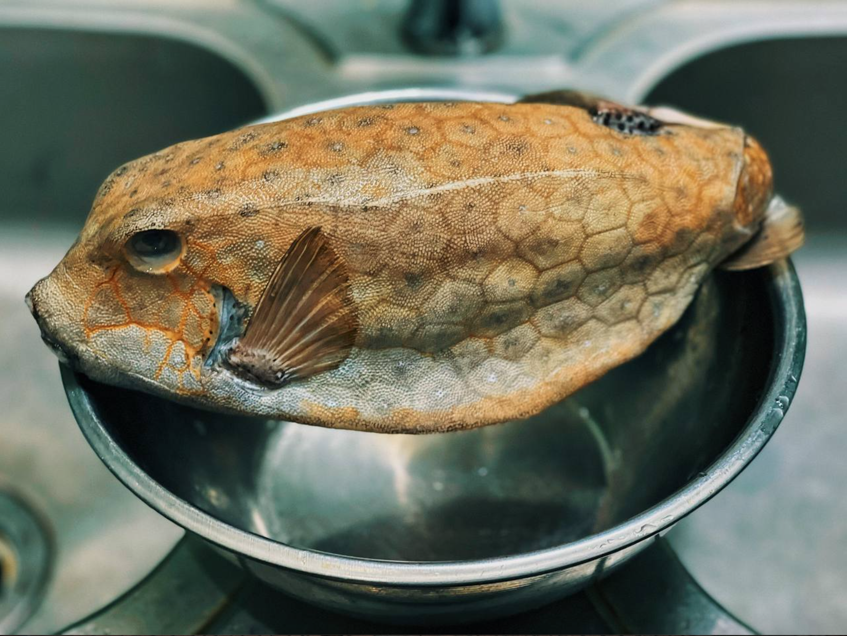 screen shot 2025 08 04 at 194307