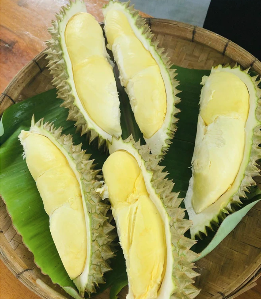 screen shot 2025 08 06 at 195108