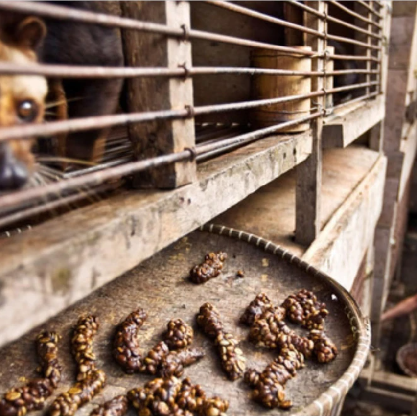 screen shot 2025 08 06 at 195152