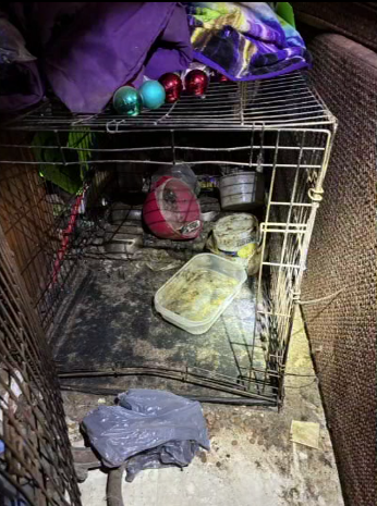 screenshot 2025 08 07 161843