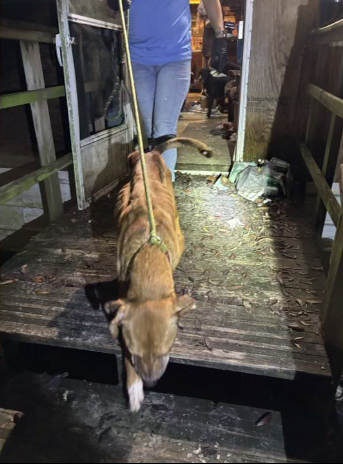 screenshot 2025 08 07 161914