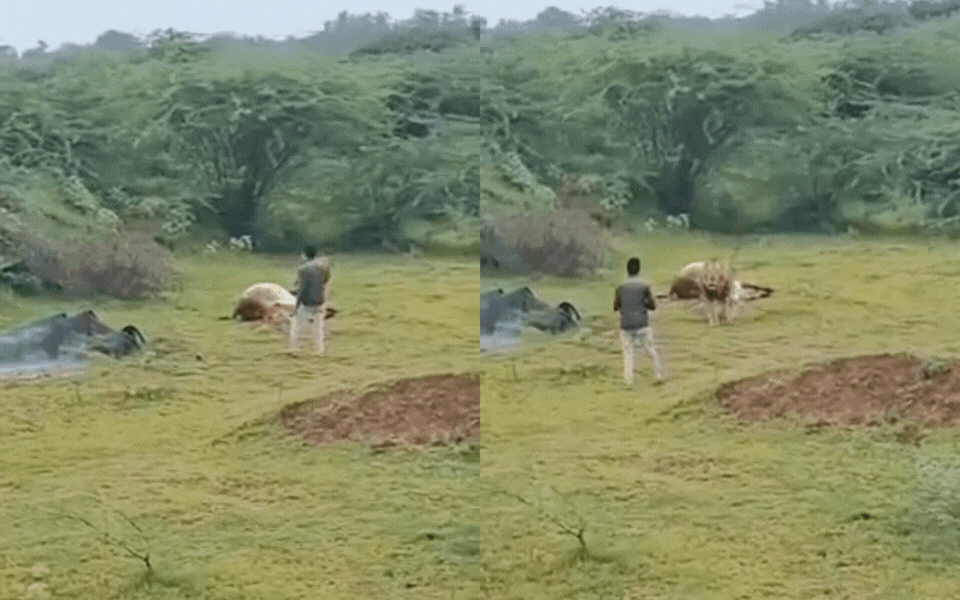 toan canh covid 19 quay lai tai chau a