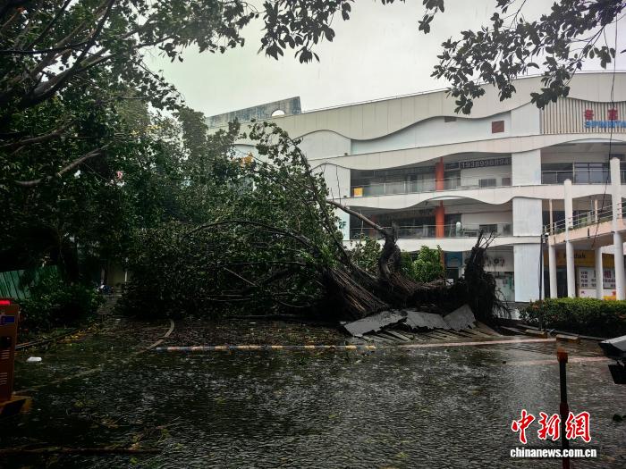 4345697d b020 4b82 9527 b1264fd82c2czsite