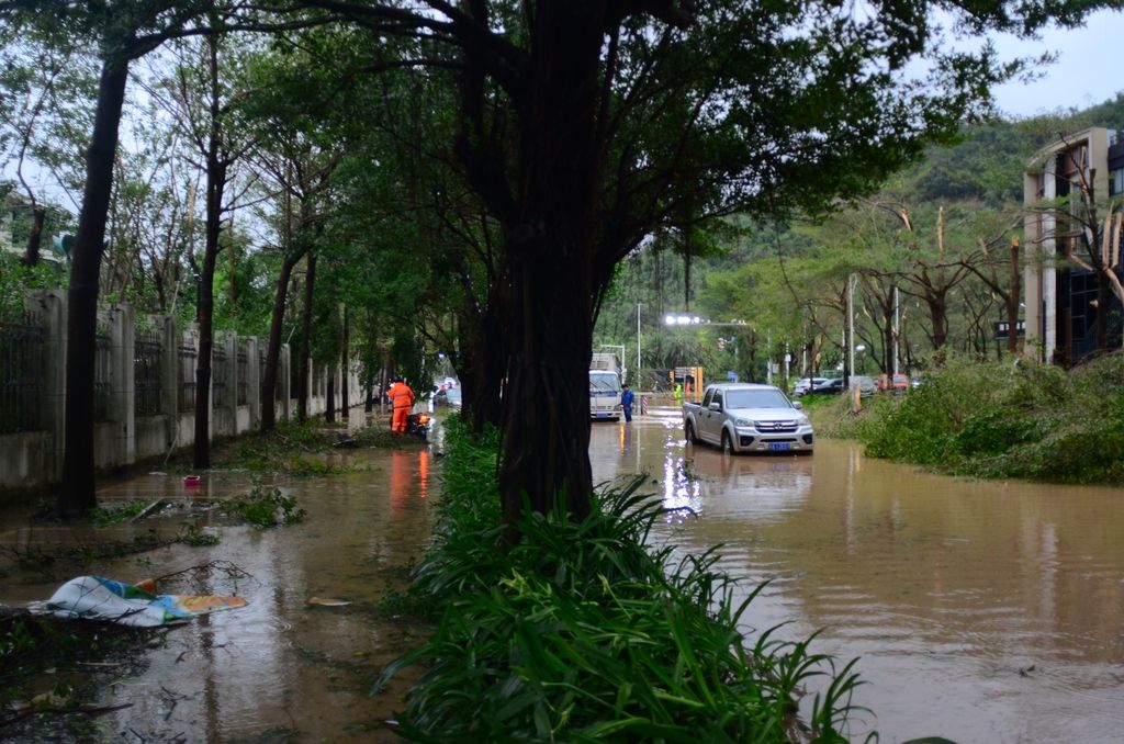 img96015eed66d53982fcea2c37d4bae9898ed7