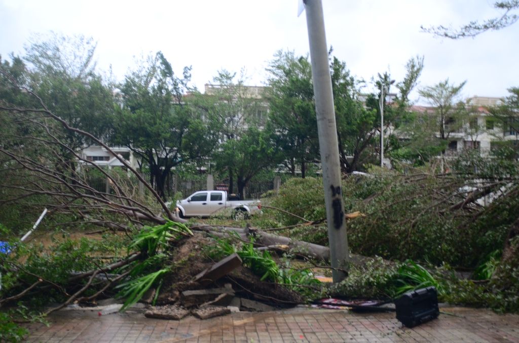 img960195cdd6bff0479dd5b13ac80b9852a0b9