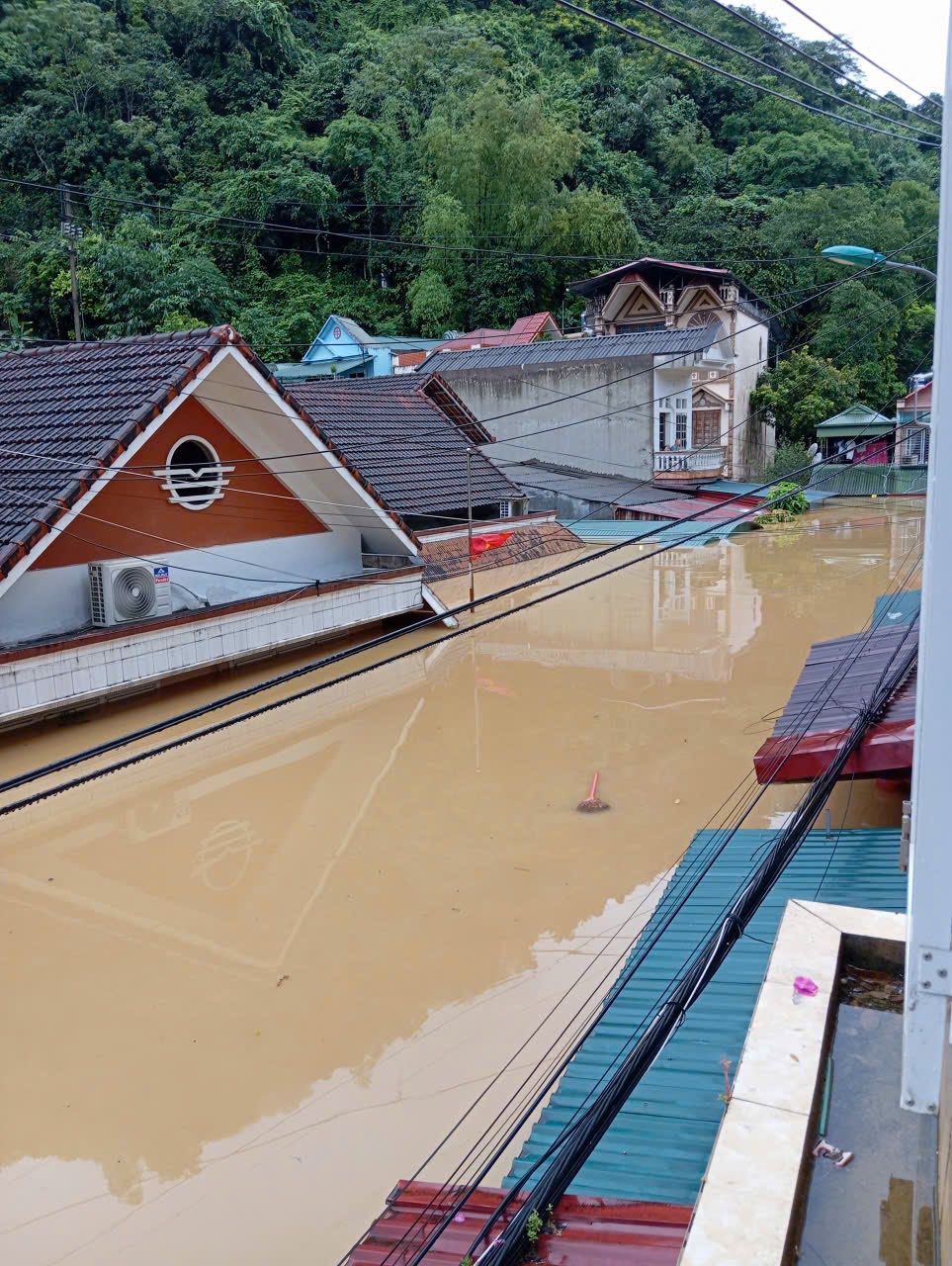 55863436626532567283552926068447709541949446n