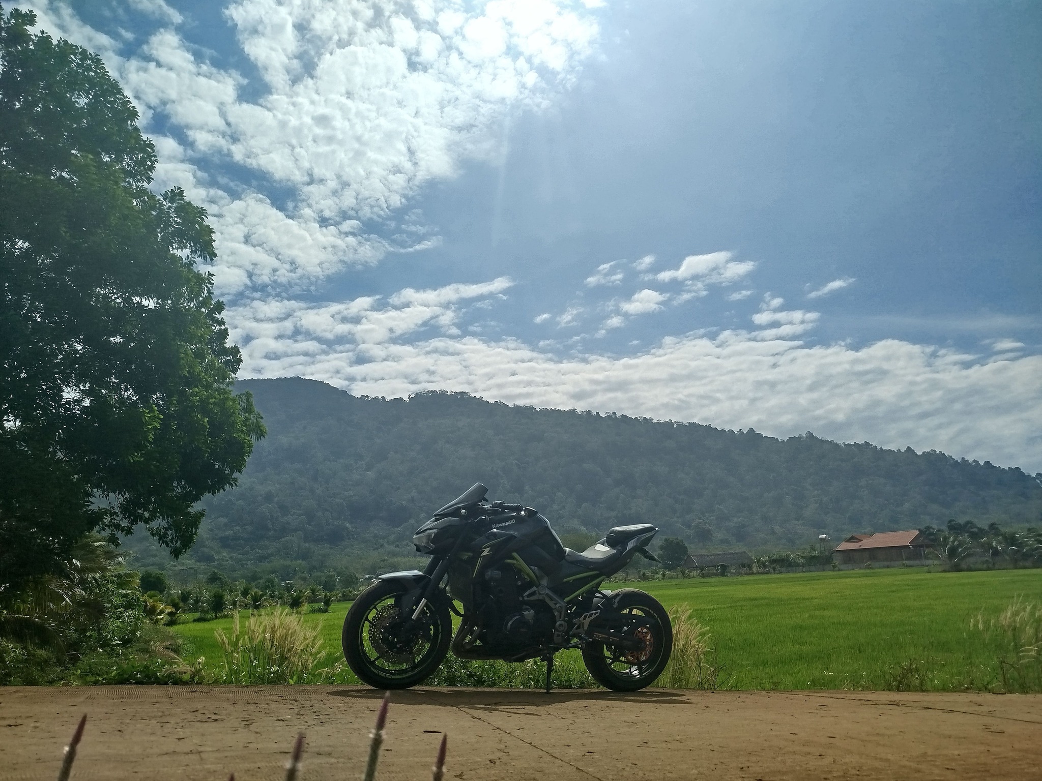 48572570216927021816710945108760072077882929n