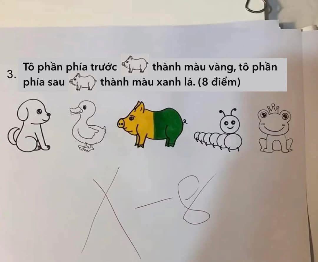 55960886022701546401134877098169911738405569n