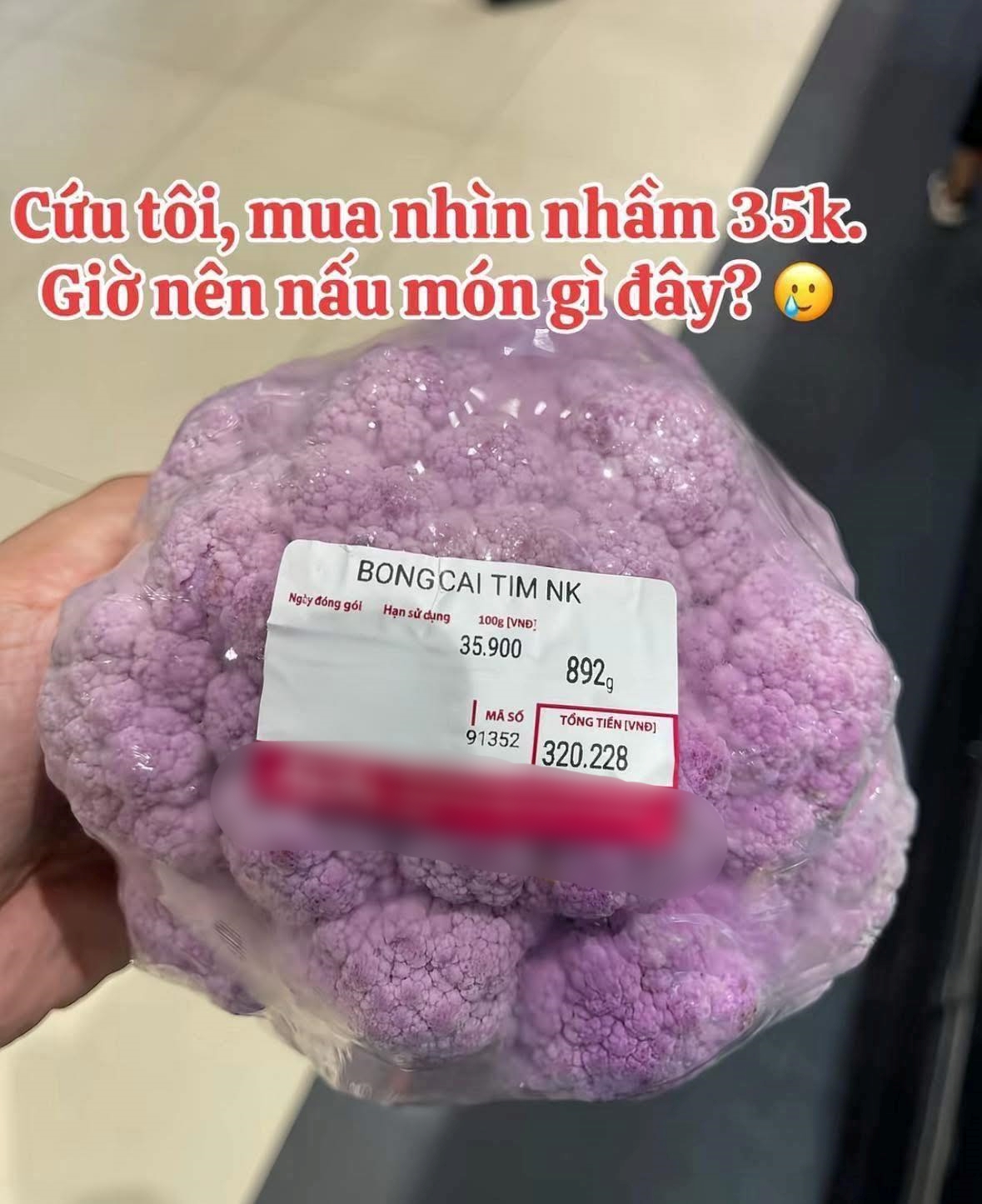 57273245714934876185333645665084331512767424n