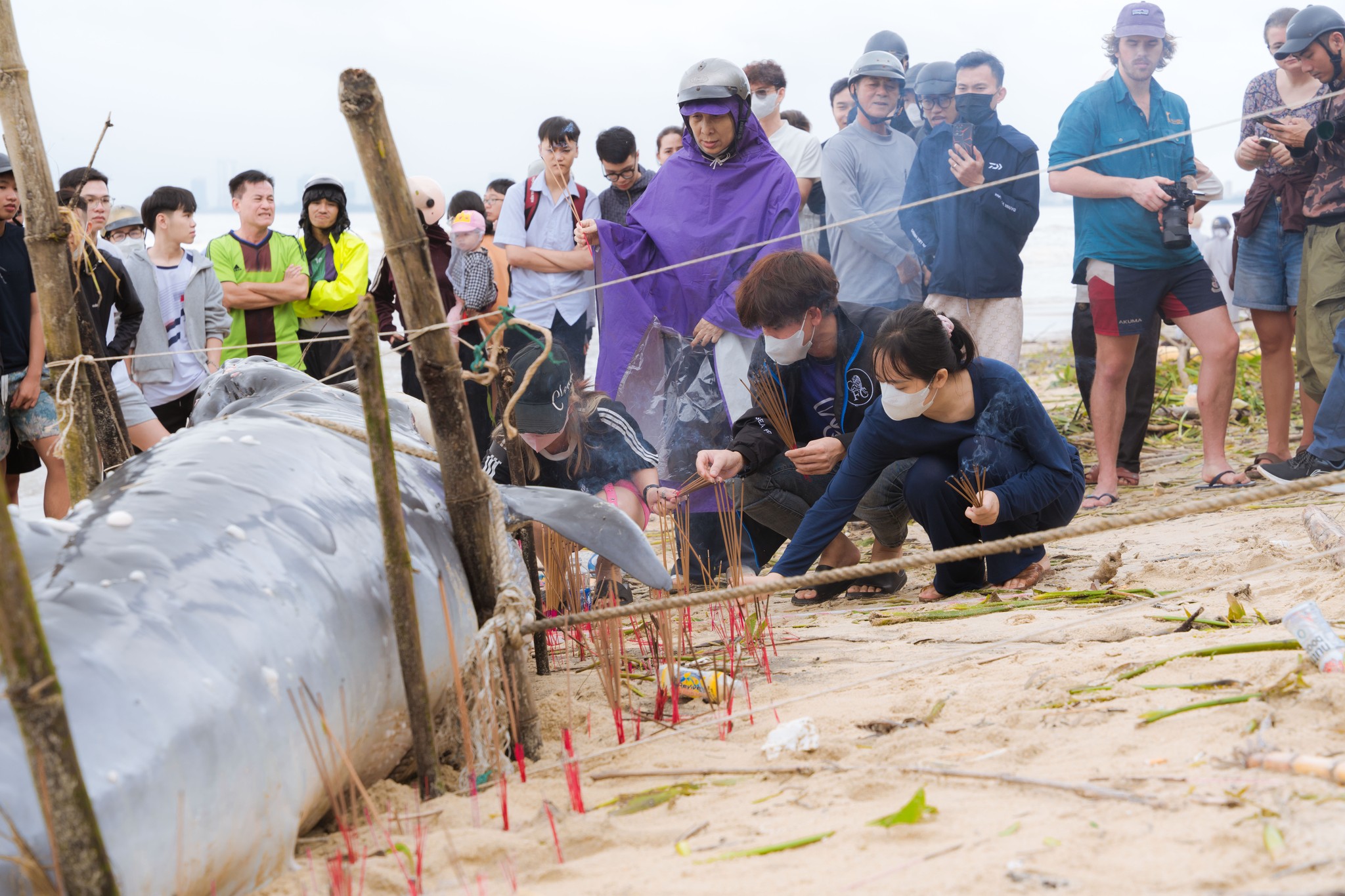 57200089311268003562886125241830329774104919n