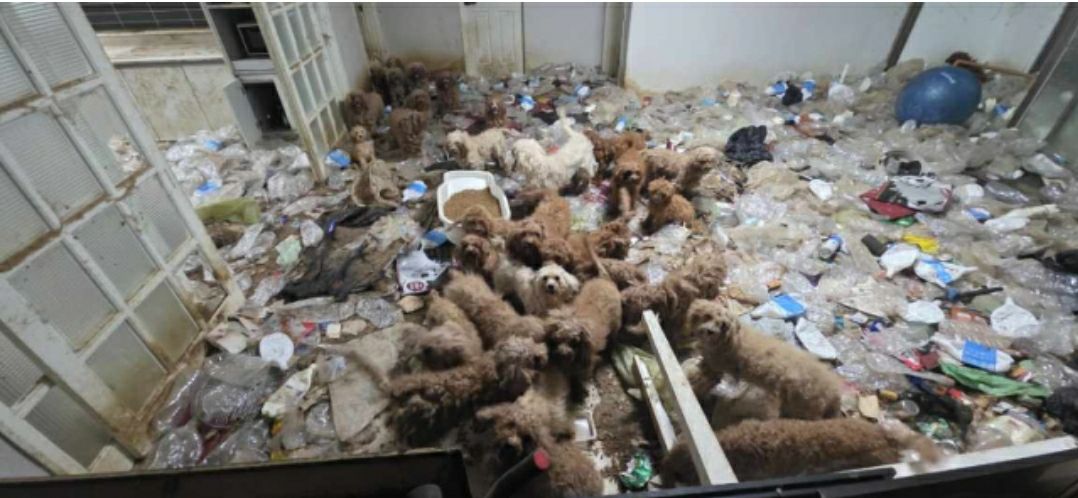 57458006813931989728060903917791147709847112n 1