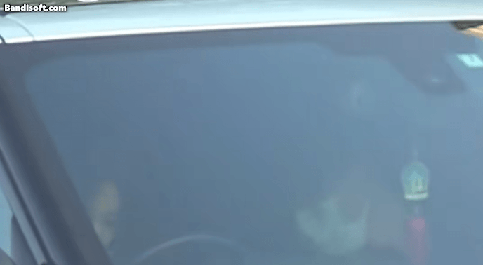 honeycam 2025 11 04 11 57 03