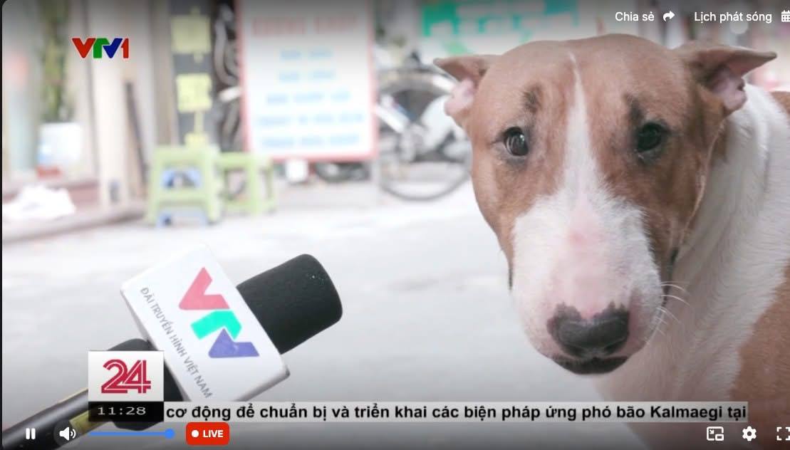 4390012435b55b 5745 4f85 8632 3faa564139e9