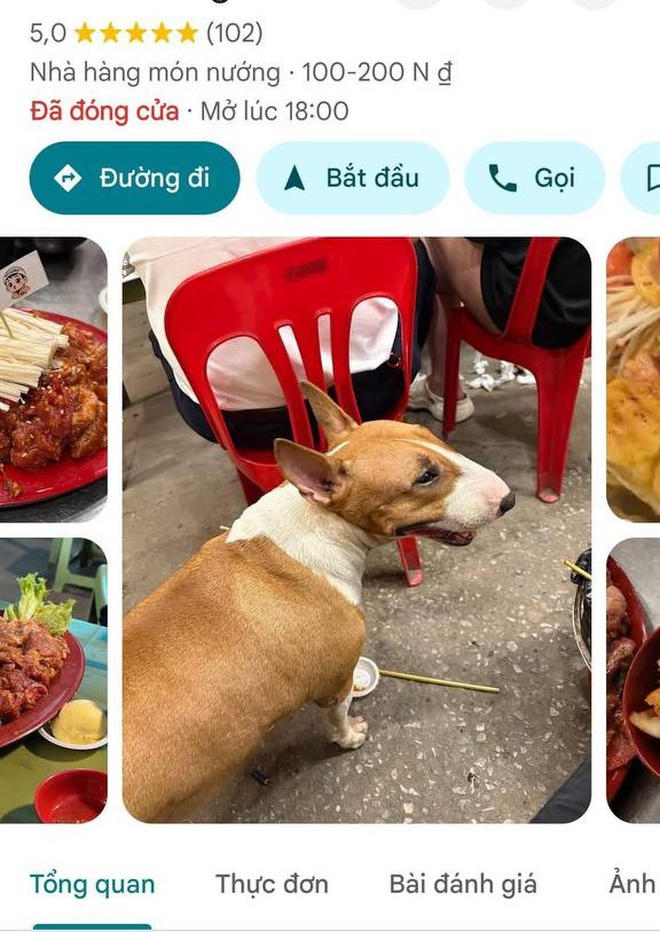 f09ba02e f03d 414c 9b18 a49dd5b9112d 17622286720651639478236