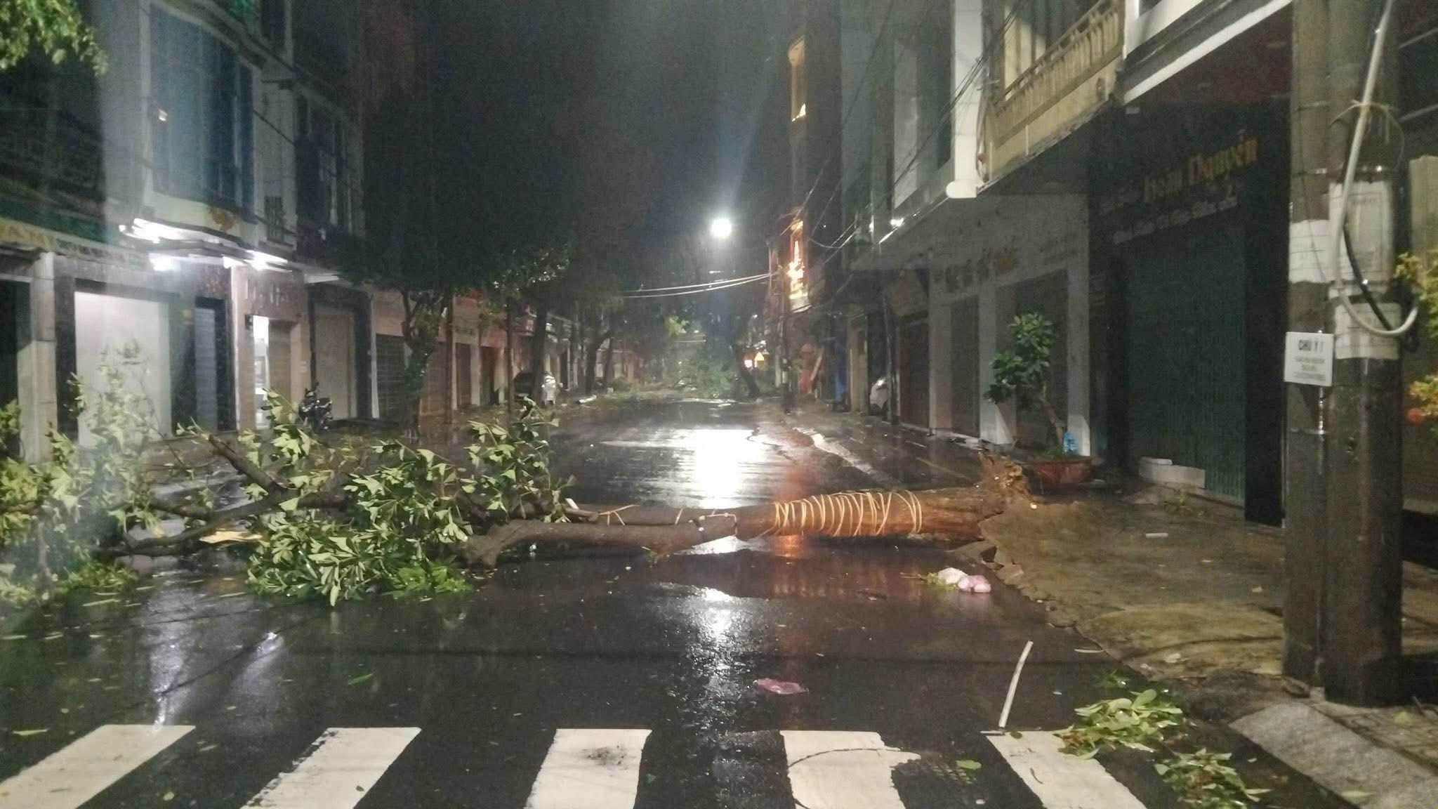 56153817511533600036505662877095295256574356n