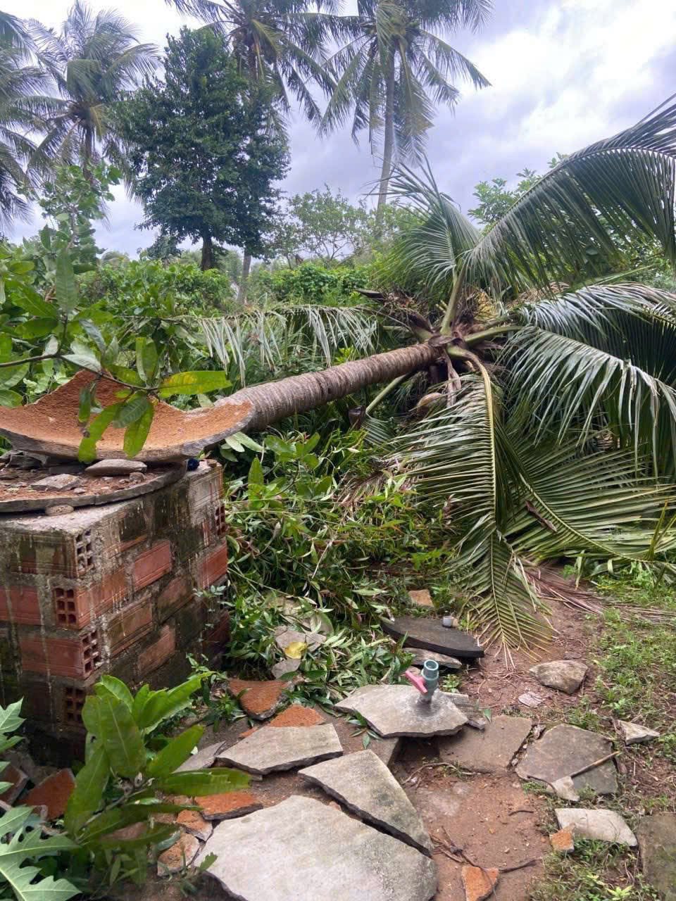 576967896122155610198670557926383374598865313n