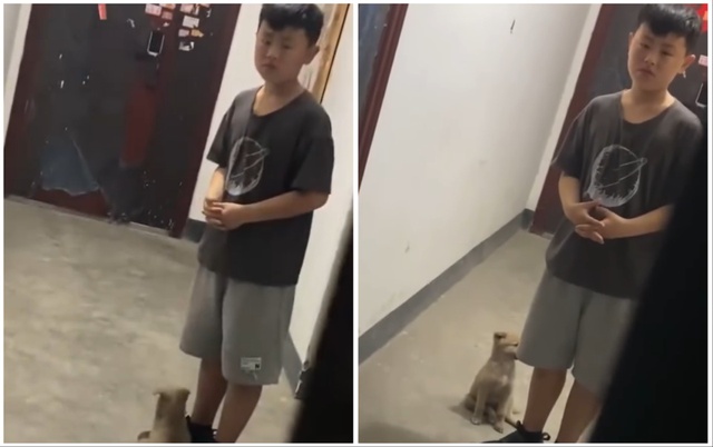 mixcollage 13 sep 2024 04 41 pm 8731 17262205114662120360014