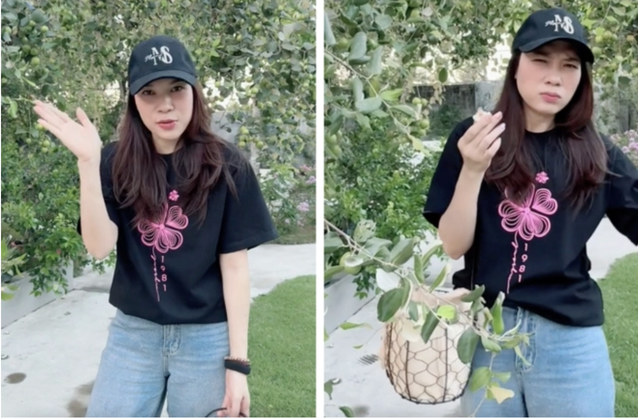 anh man hinh 2025 11 12 luc 212210