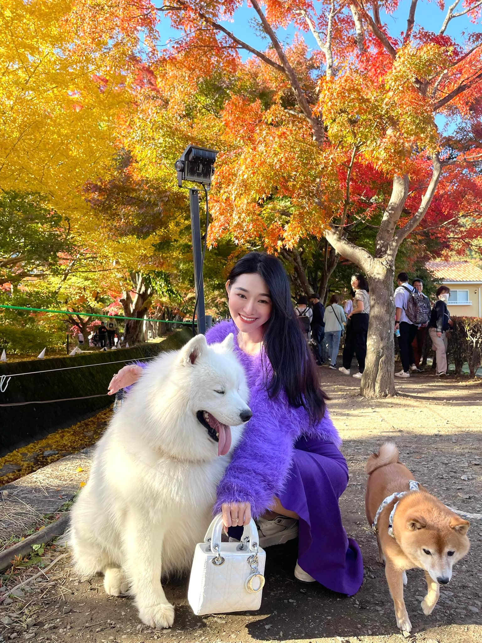 4821138722075493639559007427565401114627777n