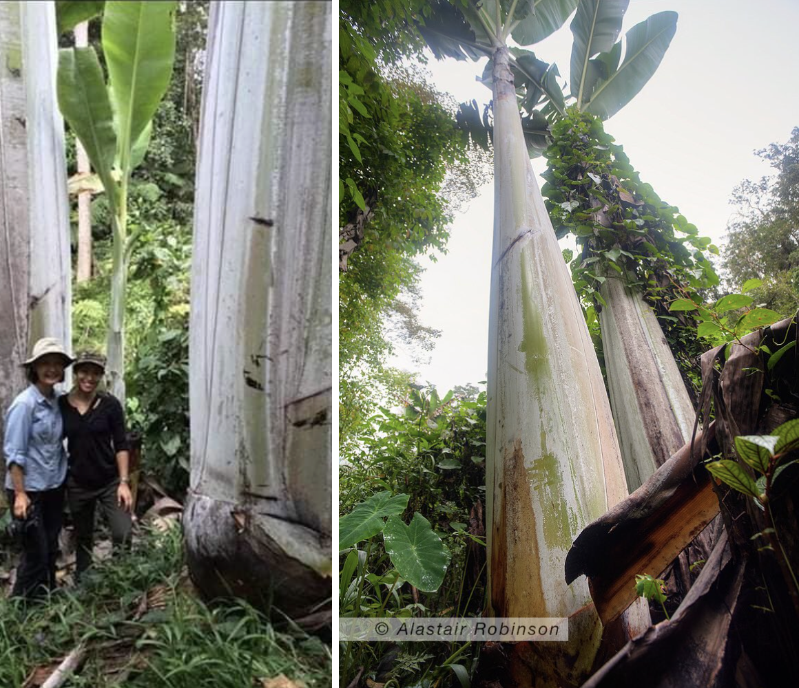 anh man hinh 2025 11 16 luc 211237