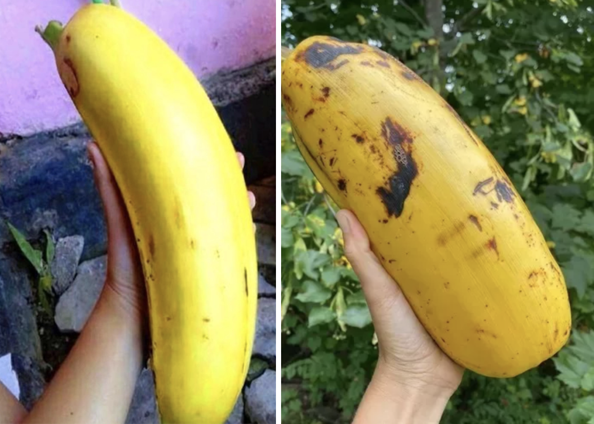 anh man hinh 2025 11 16 luc 211247