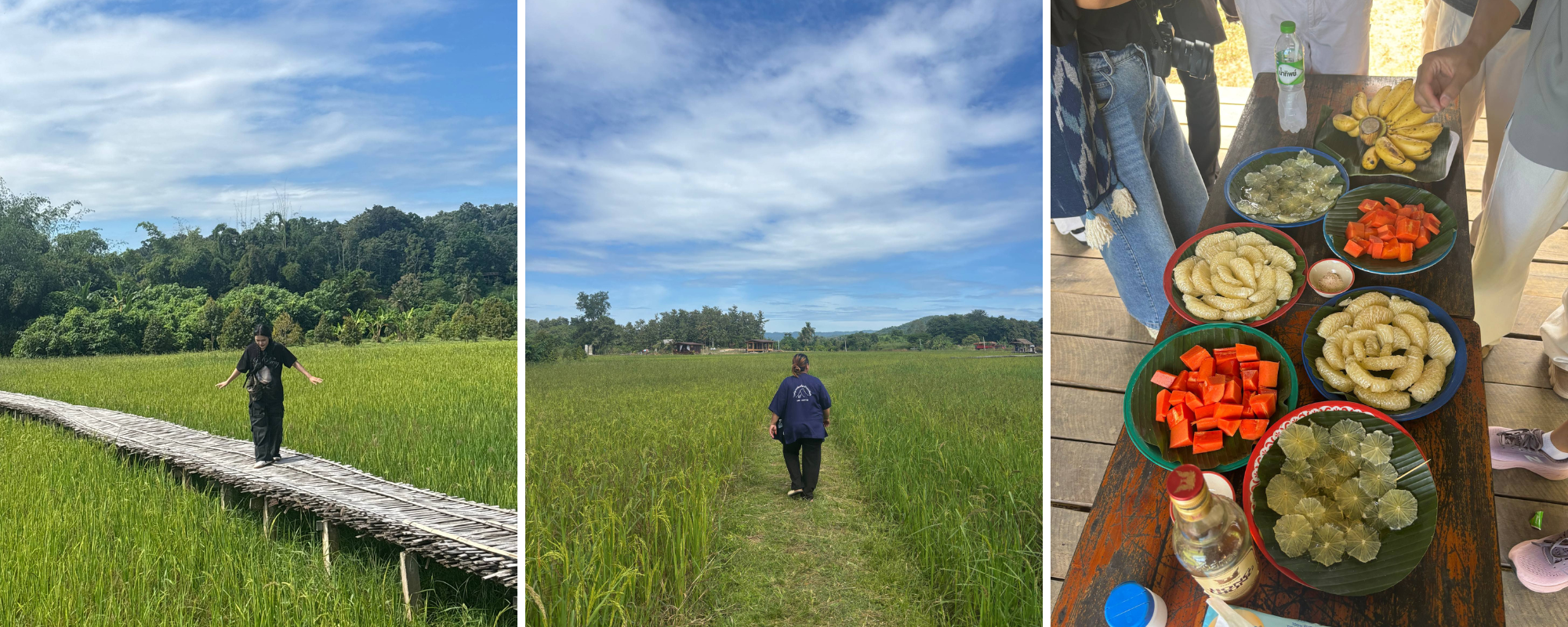 thiet ke chua co ten 2025 11 16t084733164