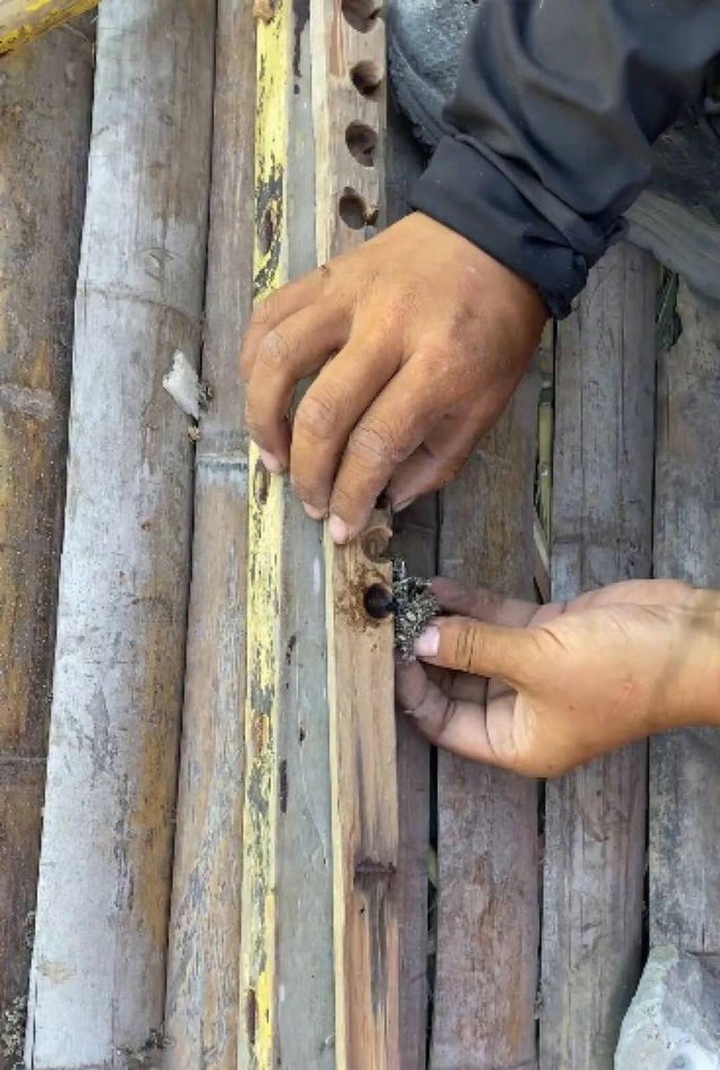 1ddedb45 3715 4b3a 93a9 2905ed0963f1df75fb50