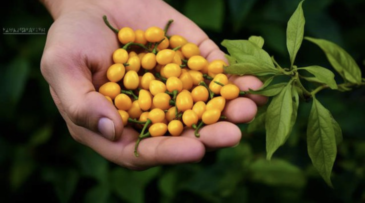 anh man hinh 2025 11 17 luc 201154