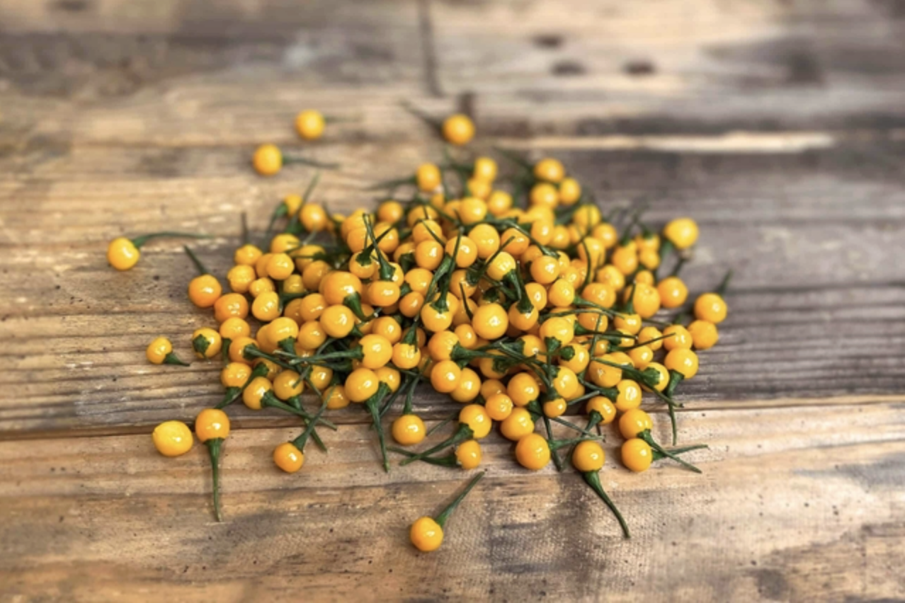 anh man hinh 2025 11 17 luc 201334