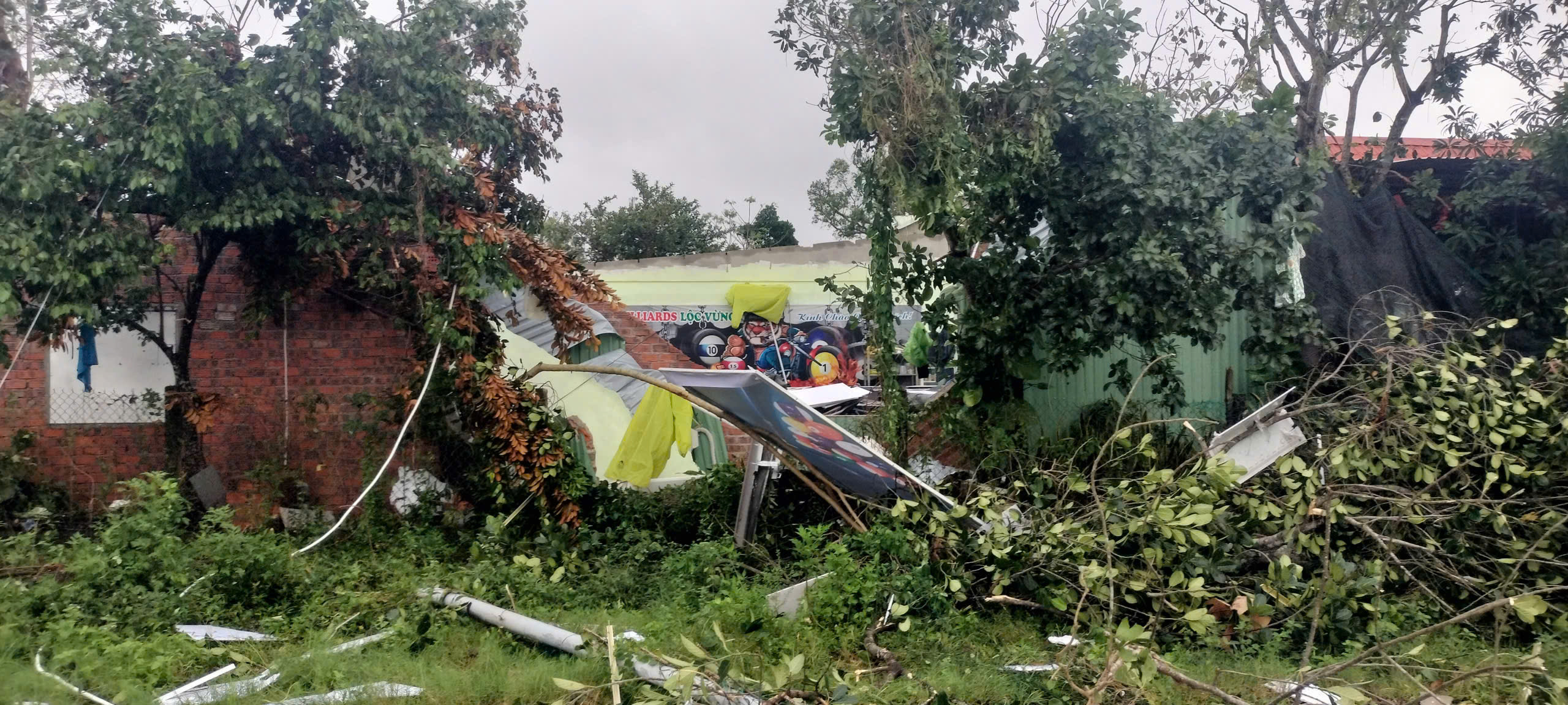 z72316602132324a4791ca2cc6ef32dd515856c79e95e7