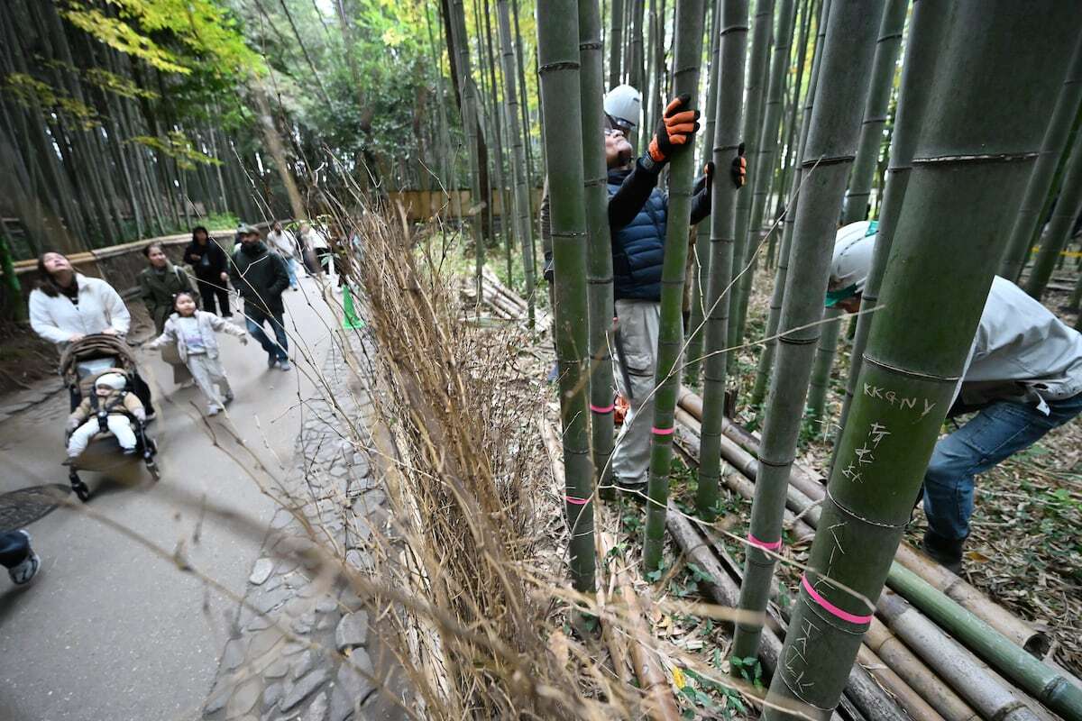 58555869212555768666028414504408356046716938n1