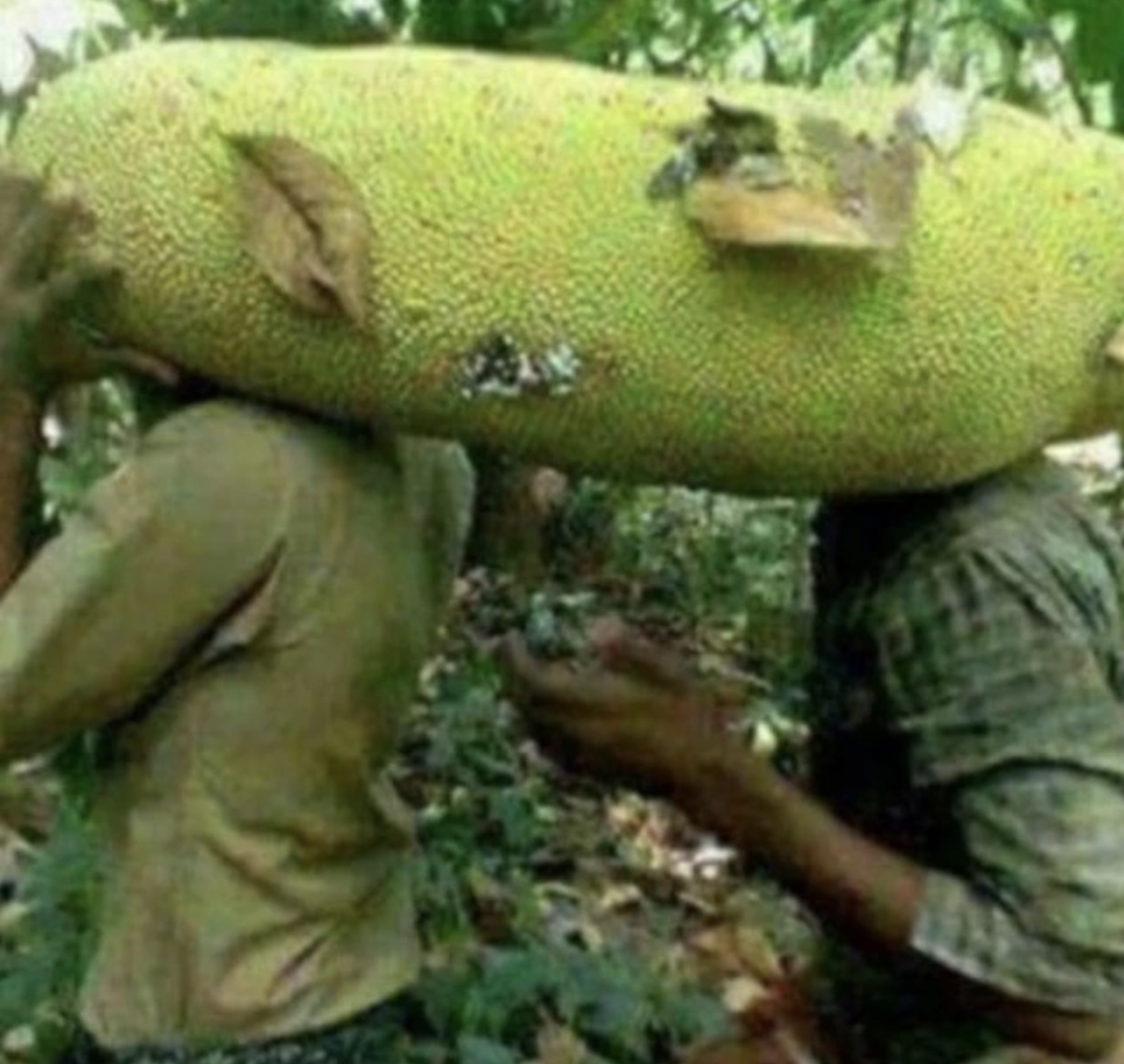 anh man hinh 2025 11 19 luc 145404