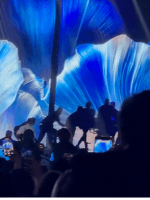 thiet ke chua co ten 8